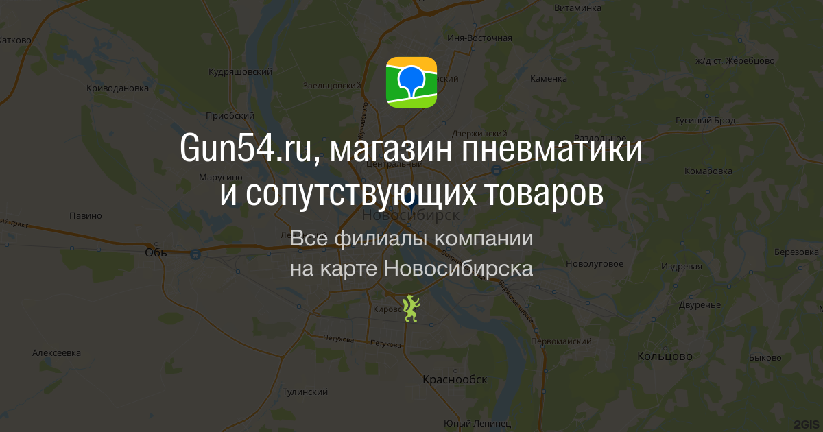 Купить мощную пневматику Как выбрать лучший вариант для охоты и спорта